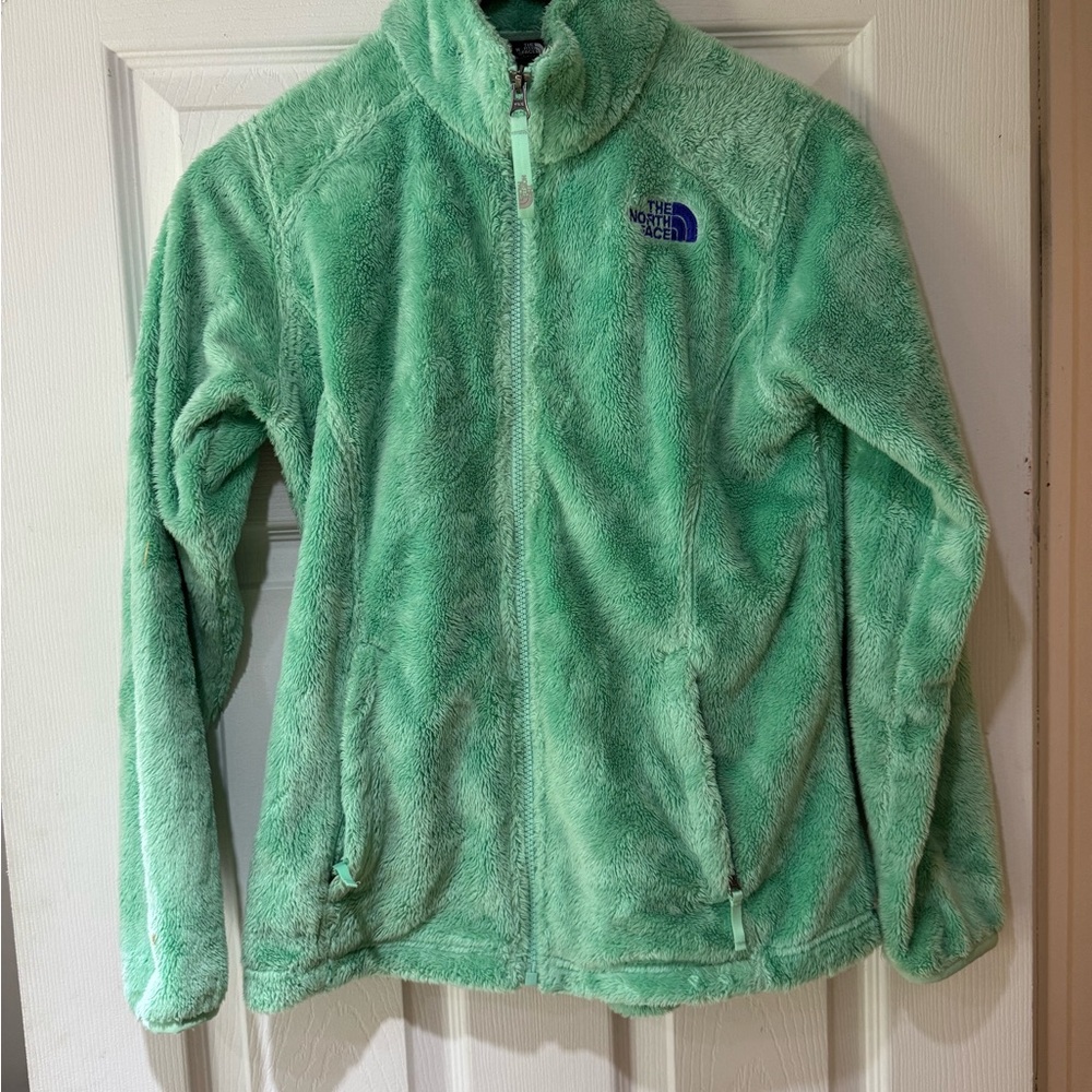 The North Face Mint Green Fleece Jacket